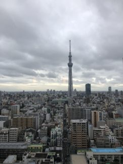 スカイツリーと周囲の風景